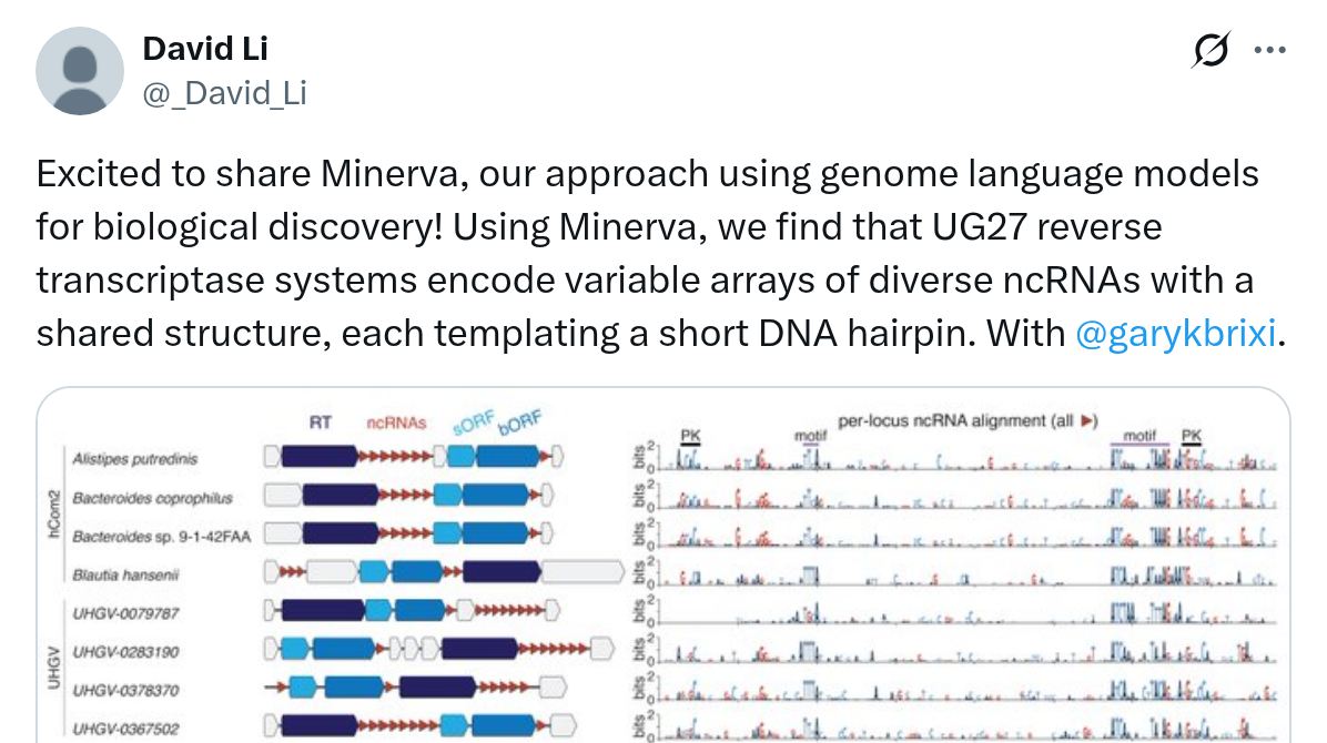 Screenshot van de post van David Li over Minerva: genoommodellen die arrays van ncRNA's bij UG27 reverse-transcriptase-systemen vinden